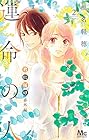 君に届け 番外編 ～運命の人～ 第2巻