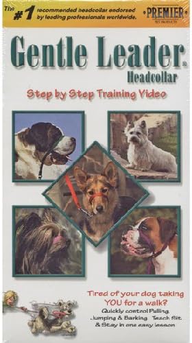 gentle leader headcollar video