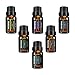 VicTsing Natural Essential Oils Set, Top 6 Pure Therapeutic Grade Upgraded Aromatherapy Essential Oil Gift Set(Lavender, Tea Tree, Peppermint, Eucalyptus, Lemongrass, Orange, 10ml/bottle)
