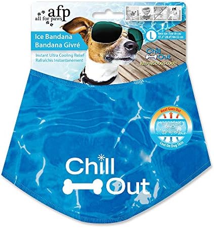 kmr kitten formula walmart