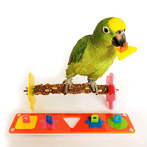 cockatiel puzzle toys