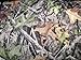 Forest Gray Camo Seat Cover Pair for Pickups + Free Bonus Washing Mitt
