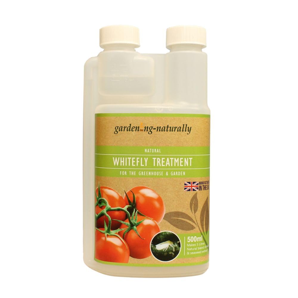 Natural Whitefly Pest Control Treatment Protect Tomatoes And Cucumbers