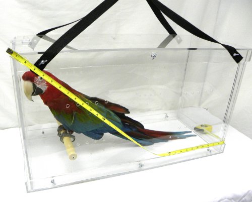 4 Pennzoni+Display+Macaw+Acrylic+Carriers