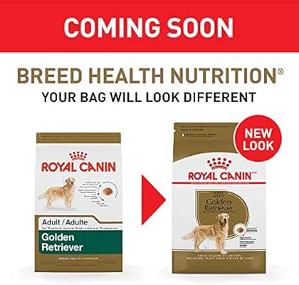 royal canin golden adult