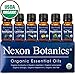 Nexon Botanics Organic Essential Oil Set - Pure Natural USDA Organic Essential Oils Kit - Best Aromatherapy, Diffuser Oils Set - Lavender, Peppermint, Eucalyptus, Tea Tree,Orange,Lemongrass 6 x 10 ml