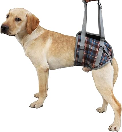 Dog harness with back leg straps Clearance