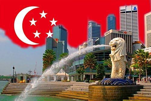 CFL SINGAPORE REFRIGERATOR MAGNET FRIDGE MAGNET