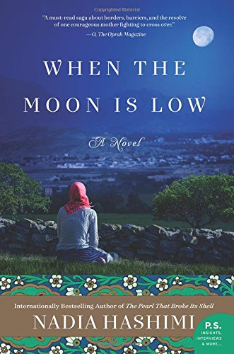 When the Moon Is Low: A Novel