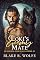 Livro Loki's Enemy Mate (versão em português): Romance Gay Viking Lobisomem Shifter (Acasalada com o Alfa Viking Livro 2)