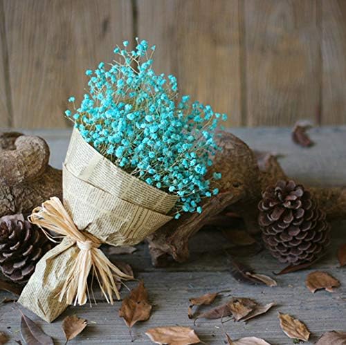 WDOIT 1pcs Natural Dried Flower Gypsophila Bouquet, For DIY Home Garden Home Wedding Party Decoration