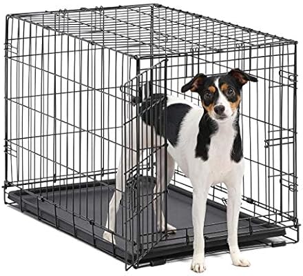 do female dogs have periods if spayed