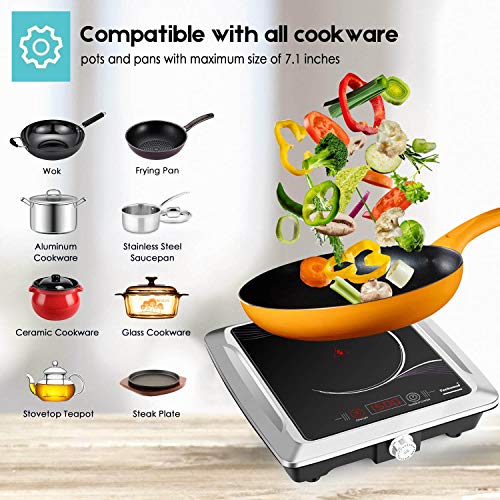 2 Techwood+Portable+Single+Burner+Infrared