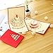 Ohuhu 3-Pack Birthday Cards 3D Pop Up Happy Birthday Greeting Card, 3 Birthday Cake Styles with 3 Envelopes