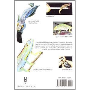 Camaleones / Chameleons: Cuidados, Crianza / Care, Breeding (Animales de compania: Manuales Del Terrario / Companion Animals: Terrarium Manuals) (Span