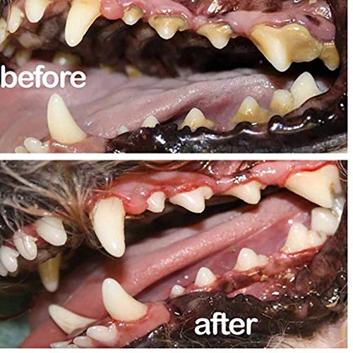 Jeeke Pet Teeth Breath Cleaning Freshener Dog Cat Dental Spray Care Cleaner Natural Tooth Cleaning Solution Fresh Breath (Multicolor)