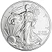 2024 silver eagle $1 Brilliant Uncirculated US Mint