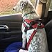 Dutchy Brand PetsLovers Durable Dog Seatbelt - Heavy Duty Strap, Reflective Lines, 2 Adjustable Sizes (15-25in or 22-37in)