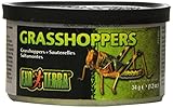 Exo Terra Reptiles Canned Food, Male Grasshoppers, 1.2-Ounce