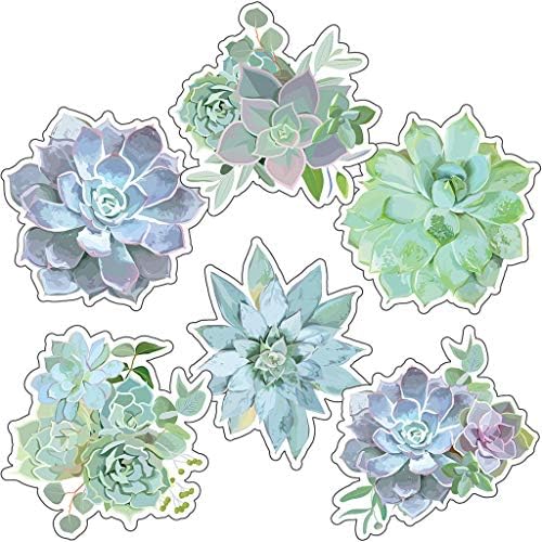 Schoolgirl Style - Succulents Extra Large Colorful Cut-Outs, Classroom Décor, 12 Pieces