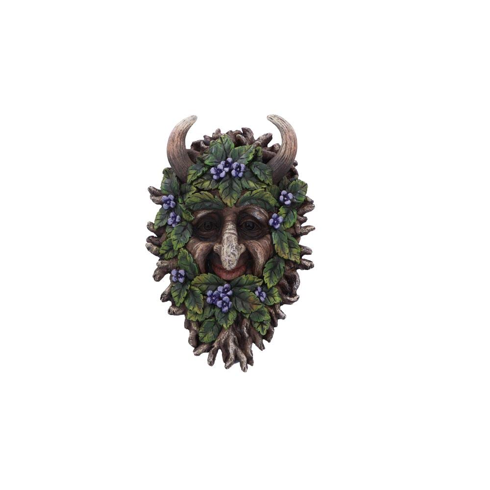 Nemesis Now Alder Tree Spirit Wall Plaque, Green, 20.2cm (D5934V2)