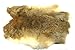 Premium Large Rabbit Pelt – Soft Natural Fur for Crafts, Costumes, Décor & Taxidermy