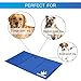 WINSEE Pet Cooling Gel Pad, Self Cooling Mat Comfort Non-Toxic Cold Mat for Dogs Cats 35.4 x 19.7 inch Large (Blue)