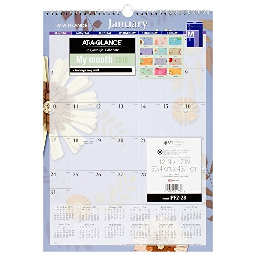 AT-A-GLANCE Wall Calendar 2016, Paper Flowers, 12 x 17 Inches (PF2-28)