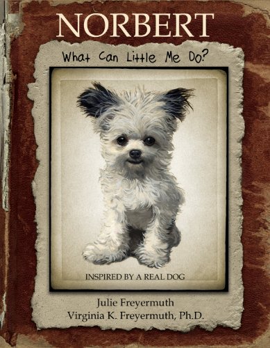 Norbert: What Can Little Me Do?