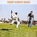 Petrainer PET998DRU1 Dog Training Collar with Remote Shock Collar for Dogs Bark Collar with Beep Vibration Shock Electric Dog E Collar, 1000FT Remote Rangethumb 1