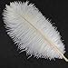 Sowder 5pcs Ostrich Feathers 16-18inch(40-45cm) Home Wedding Decoration(White)
