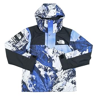 the north face por supreme