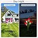 CLAONER Solar Garden Stake Lights, 3 Pack Solar Flower Lights Outdoor with 12 Lily Flowers Waterproof Muti-Color Changing LED Lights for Outdoor Decorative Like Garden, Yard, Patio, Walkway, Pathway