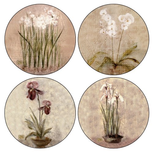 CoasterStone AS465 Subtle Flowers Absorbent Coasters, 4-1/4-Inch, Set of 4