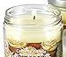 Specialty Pet Products Odor Exterminator Candle, Creamy Vanilla, 13 Ounce Jar (Pack of 2)