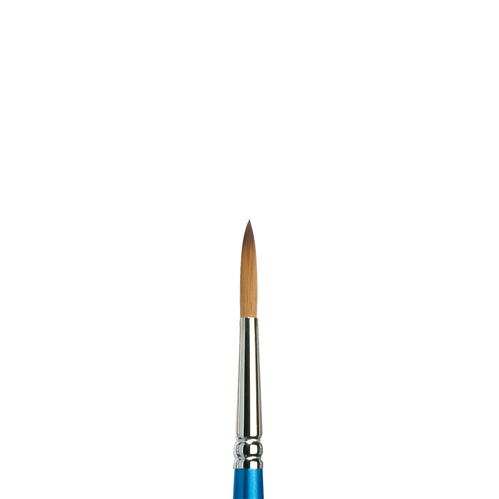 Winsor & Newton Brush, Wood, Transparent, No 7 -. 4.1 mm, round - brush, short handle