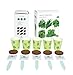 Herb Grow kit for Beginners and Experts | Grow Your Own Basil, Parsley, Chives, Oregano & Cilantro from Seed | Fun Indoor Gardening Gift for Kids and Adults | Exclusively by TotalGreen Holland