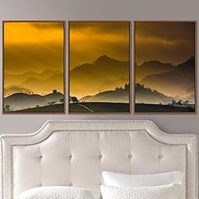 signwin 3 Piece Framed Canvas Wall Art Orange...