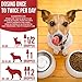 DEW0RMER for Dogs & Cats (2 OZ) - Treat & Prevent - Broad Spectrum WHIPW0RM, H00KW0RM, R0UNDW0RM & TAPEW0RM DEW0RMER - Made in USA - Natural Powerful Blend - Senior Pets, Kitten & Puppy DEW0RMER