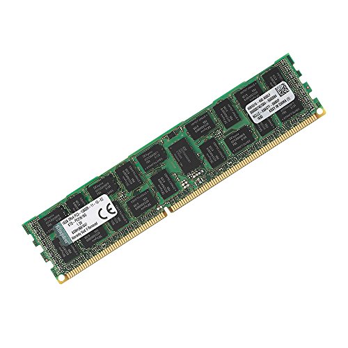 Kingston Technology 16 GB 1600MHz (PC3-12800) Reg ECC Memory Module for Dell Severs KTD-PE316/16G