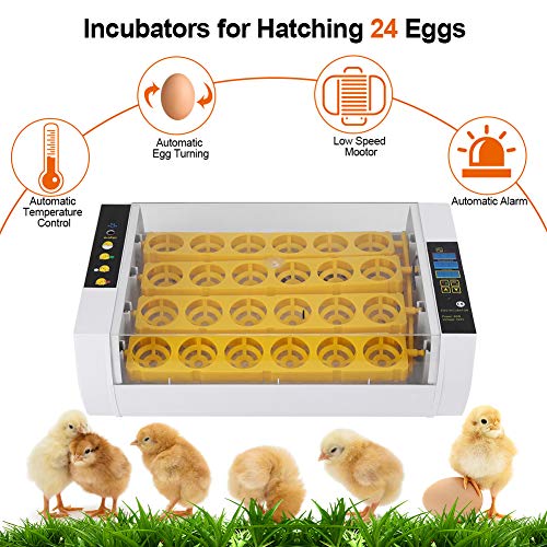 Best Lab Incubators & Accessories Buying Guide GistGear