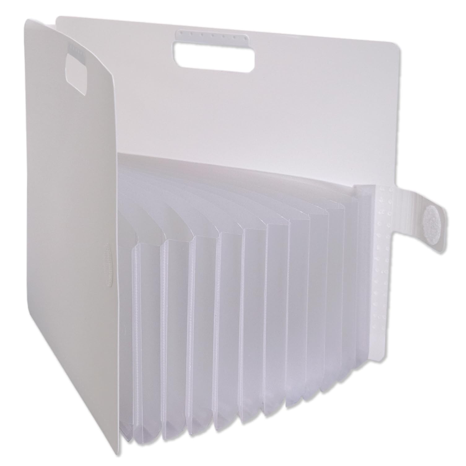 サクラクレパス 書類 プリント 収納ケース こまごまファイル A4 ホワイト TF-A4#50商品画像