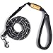 GEEPET Mountain Climbing Rope Dog Leash - Premium Quality - Supports The Strongest Pulling Large and Medium Sized Dogs 6 feet