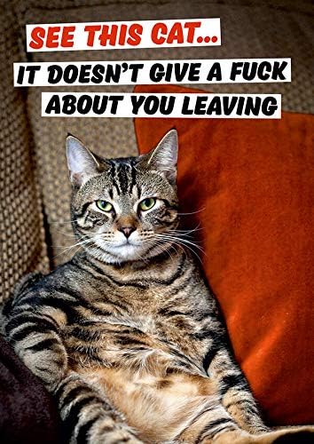 See This Cat - It Doesn't Give a F*ck About You Leaving (Large Card)