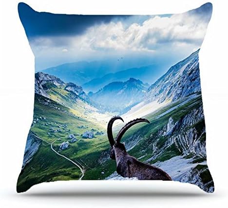 Nsduch Throw Pillowcase 18 x 18 Inches Cotton Pillow Cover Case with Hidden Zipper Decor Cushion Covers - Landscapes Switzerland Mount Pilatus Mountains goat landscape For Bedding Room