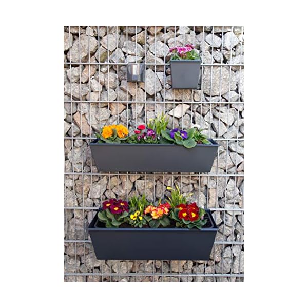 Gabioka flowerbox Standard 60cm für Gabionen aus Doppelstabmatten und Doppelstabmattenzäune/Hängekasten/Pflanzkasten (1… – Bild 7
