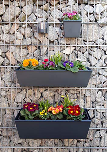 Gabioka flowerbox Standard 60cm für Gabionen aus Doppelstabmatten und Doppelstabmattenzäune/Hängekasten/Pflanzkasten (1… – Bild 7