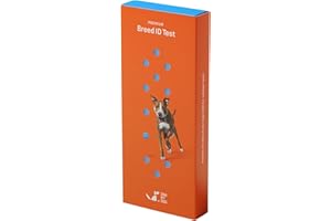 DNA My Dog Premium Dog DNA Test – Identify 350+ Breeds | Genetic Health & Trait Screening | Wolf DNA & Genetic Age | Easy At-