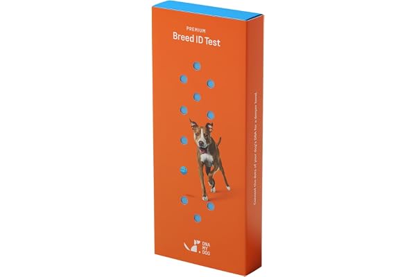 DNA My Dog Premium Dog DNA Test – Identify 350+ Breeds | Genetic Health & Trait Screening | Wolf DNA & Genetic Age | Easy At-