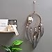 FIGEN Dream Catcher Handmade Traditional Feather Wall Hanging Home Decoration Decor Ornament Craft (A)